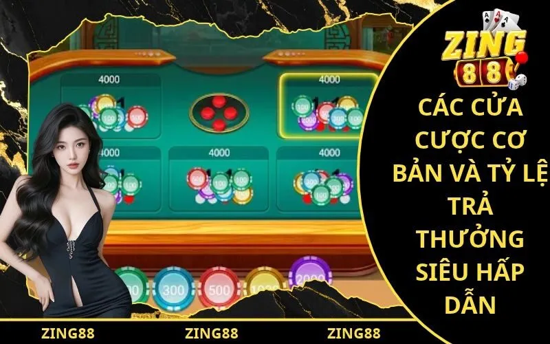 Các cửa cược cơ bản và tỷ lệ trả thưởng siêu hấp dẫn